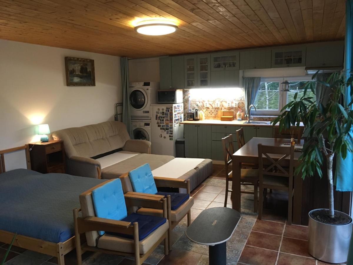 Apartament Na Vyhlidce Vrané nad Vltavou Zewnętrze zdjęcie